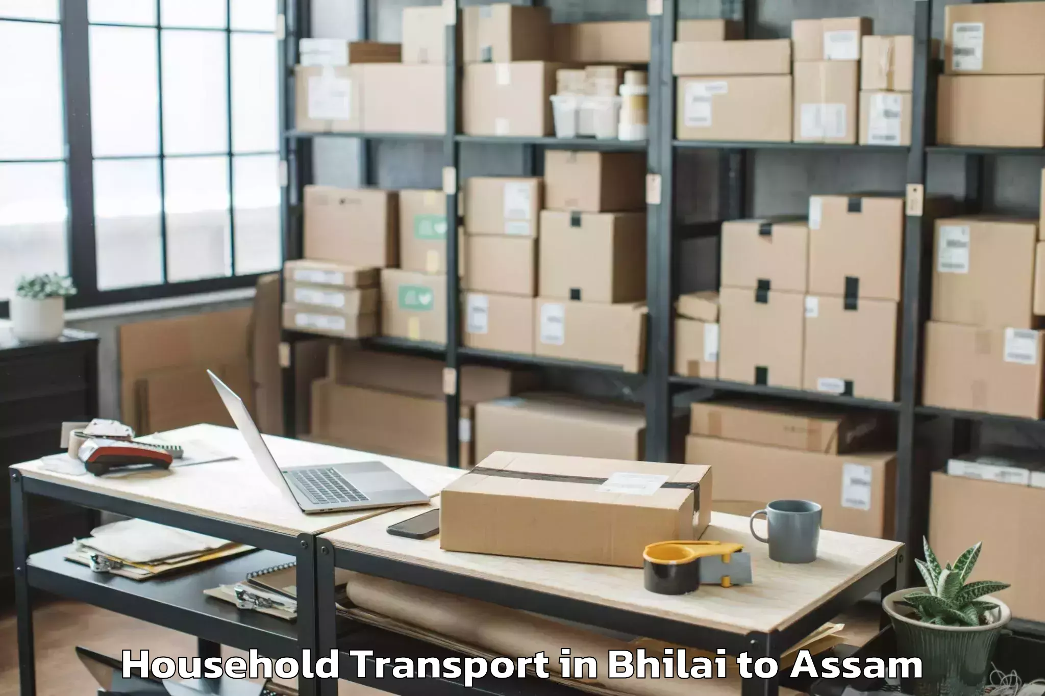 Professional Bhilai to Duliajan Household Transport